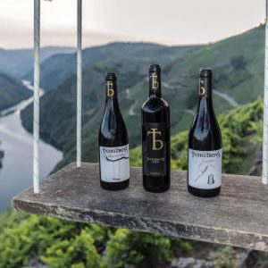 Pago Especial Grupos Grandes