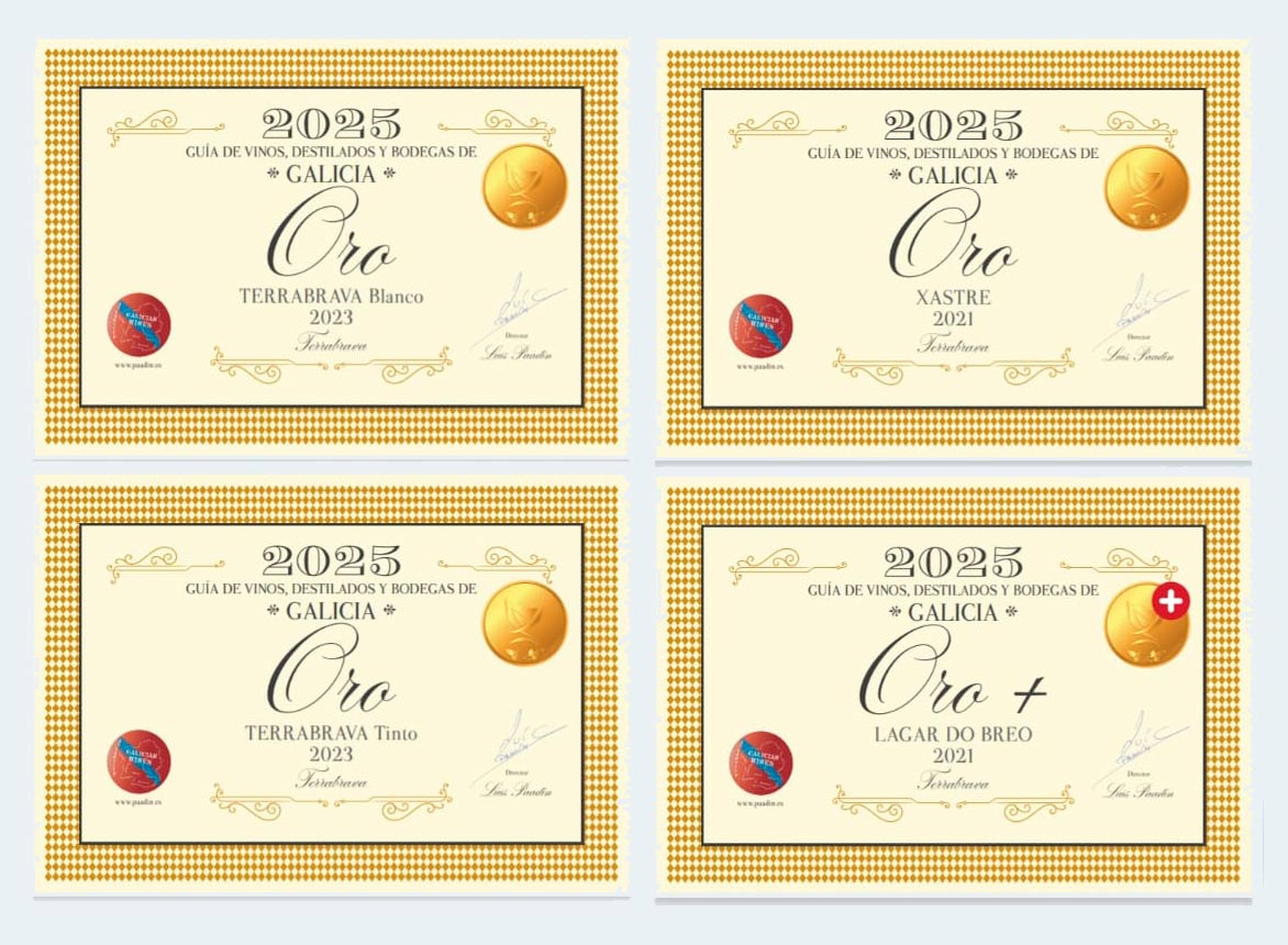 Vinos gallegos premiados 2025